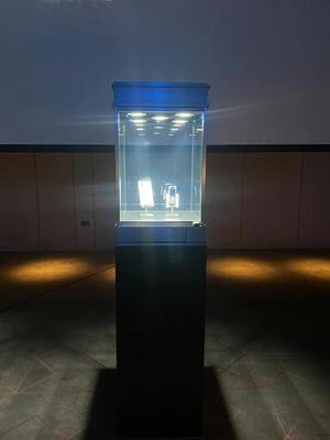 Illuminated jewellery showcase installed in a dark exhibition environment